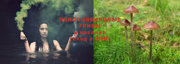 соль ск Верхнеуральск