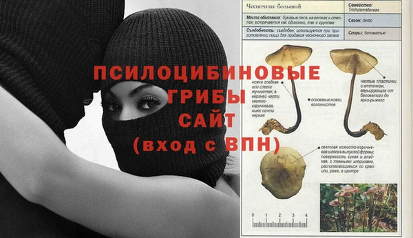 COCAINE Верея