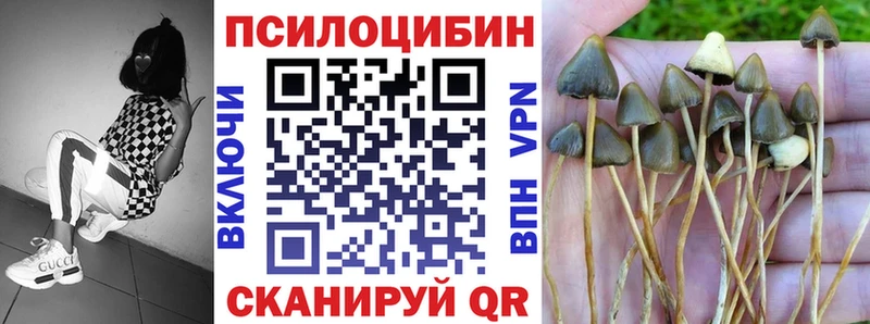 Псилоцибиновые грибы Magic Shrooms  Купить где  Луховицы 